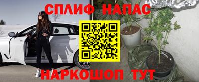 винт Сланцы