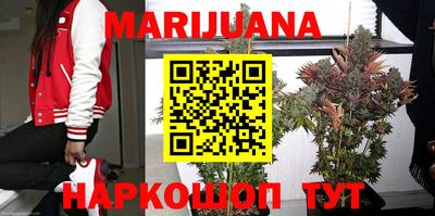винт Сланцы